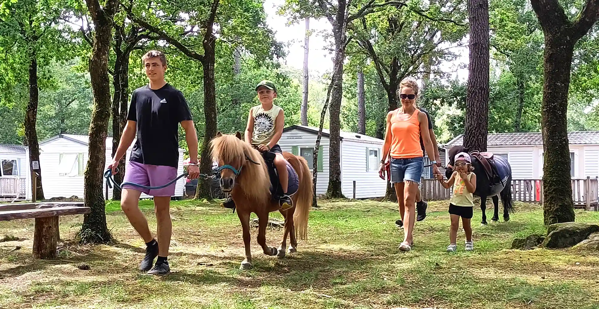 balade brossage poney enfants camping le saint laurent